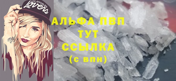 винт Лагань