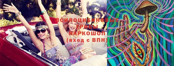винт Лагань