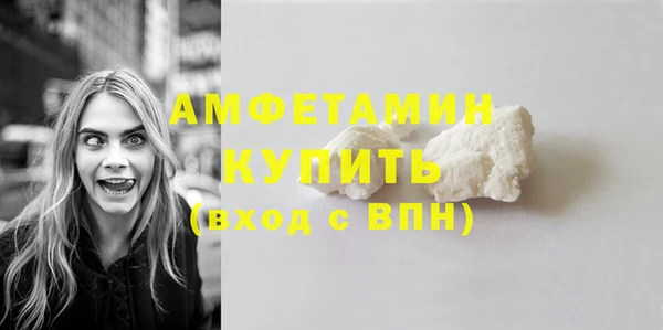 винт Лагань
