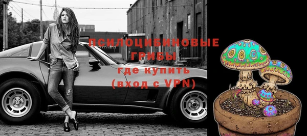 винт Лагань
