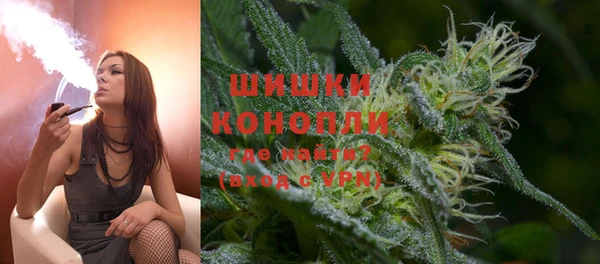 винт Лагань