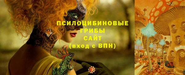 винт Лагань