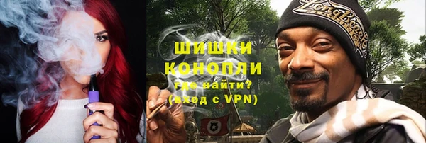 винт Лагань
