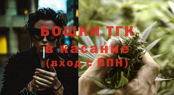 винт Лагань