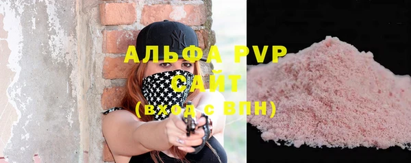 винт Лагань