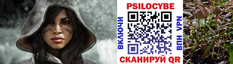 Купить  Мончегорск  Галлюциногенные грибы прущие грибы 
